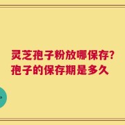 灵芝孢子粉放哪保存？孢子的保存期是多久