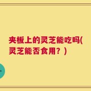 夹板上的灵芝能吃吗(灵芝能否食用？)