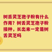 树舌灵芝孢子粉有什么作用？树舌灵芝孢子粉接种，长出来一定是树舌灵芝吗