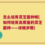 怎么培育灵芝菌种呢(如何培育高质量的灵芝菌种——详细步骤)