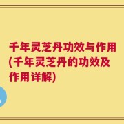 千年灵芝丹功效与作用(千年灵芝丹的功效及作用详解)