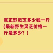 真正野灵芝多少钱一斤(最新野生灵芝价格一斤是多少？)
