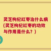 灵芝枸杞红枣治什么病(灵芝枸杞红枣的功效与作用是什么？)