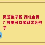 灵芝孢子粉 湖北金贵？哪里可以买到灵芝孢子