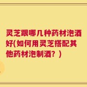灵芝跟哪几种药材泡酒好(如何用灵芝搭配其他药材泡制酒？)