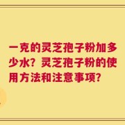 一克的灵芝孢子粉加多少水？灵芝孢子粉的使用方法和注意事项？