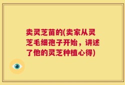 卖灵芝苗的(卖家从灵芝毛细孢子开始，讲述了他的灵芝种植心得)