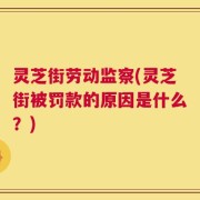 灵芝街劳动监察(灵芝街被罚款的原因是什么？)