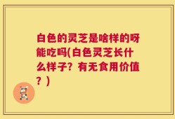 白色的灵芝是啥样的呀能吃吗(白色灵芝长什么样子？有无食用价值？)