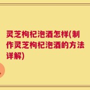 灵芝枸杞泡酒怎样(制作灵芝枸杞泡酒的方法详解)