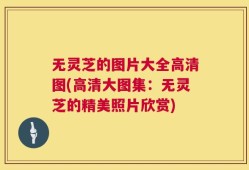 无灵芝的图片大全高清图(高清大图集：无灵芝的精美照片欣赏)