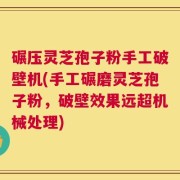 碾压灵芝孢子粉手工破壁机(手工碾磨灵芝孢子粉，破壁效果远超机械处理)