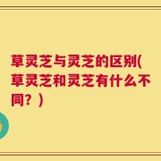 草灵芝与灵芝的区别(草灵芝和灵芝有什么不同？)