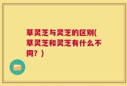 草灵芝与灵芝的区别(草灵芝和灵芝有什么不同？)