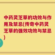 中药灵芝草的功效与作用及禁忌(传奇中药灵芝草的强效功效与禁忌)