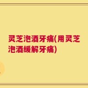 灵芝泡酒牙痛(用灵芝泡酒缓解牙痛)