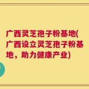 广西灵芝孢子粉基地(广西设立灵芝孢子粉基地，助力健康产业)