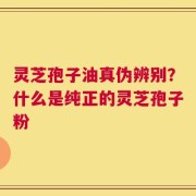 灵芝孢子油真伪辨别？什么是纯正的灵芝孢子粉