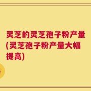 灵芝的灵芝孢子粉产量(灵芝孢子粉产量大幅提高)