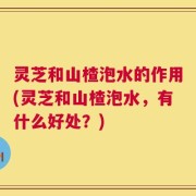灵芝和山楂泡水的作用(灵芝和山楂泡水，有什么好处？)