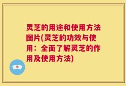 灵芝的用途和使用方法图片(灵芝的功效与使用：全面了解灵芝的作用及使用方法)