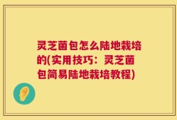 灵芝菌包怎么陆地栽培的(实用技巧：灵芝菌包简易陆地栽培教程)
