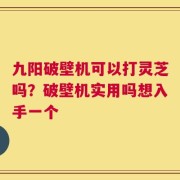 九阳破壁机可以打灵芝吗？破壁机实用吗想入手一个