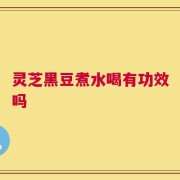 灵芝黑豆煮水喝有功效吗