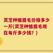 灵芝种植眉毛价格多少一斤(灵芝种植眉毛现在每斤多少钱？)