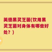 英德黑灵芝菌(饮用黑灵芝菌对身体有哪些好处？)