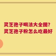 灵芝孢子喝法大全图？灵芝孢子粉怎么吃最好