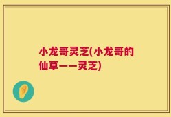 小龙哥灵芝(小龙哥的仙草——灵芝)