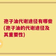 孢子油代谢途径有哪些(孢子油的代谢途径及其重要性)