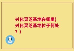 兴化灵芝基地在哪里(兴化灵芝基地位于何处？)