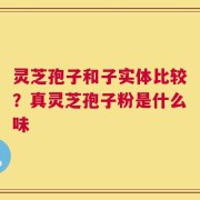 灵芝孢子和子实体比较？真灵芝孢子粉是什么味