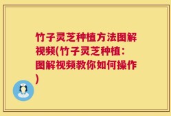 竹子灵芝种植方法图解视频(竹子灵芝种植：图解视频教你如何操作)