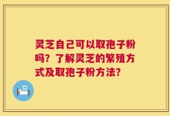 灵芝自己可以取孢子粉吗？了解灵芝的繁殖方式及取孢子粉方法？