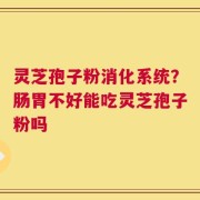 灵芝孢子粉消化系统？肠胃不好能吃灵芝孢子粉吗