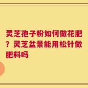灵芝孢子粉如何做花肥？灵芝盆景能用松针做肥料吗