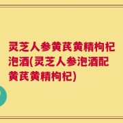 灵芝人参黄芪黄精枸杞泡酒(灵芝人参泡酒配黄芪黄精枸杞)