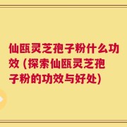 仙瓯灵芝孢子粉什么功效 (探索仙瓯灵芝孢子粉的功效与好处)