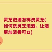 灵芝泡酒怎样洗灵芝(如何洗灵芝泡酒，让酒更加清香可口)