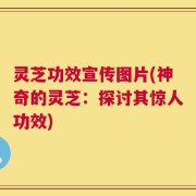 灵芝功效宣传图片(神奇的灵芝：探讨其惊人功效)