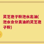 灵芝孢子粉泡水出油(泡水会分离油的灵芝孢子粉)