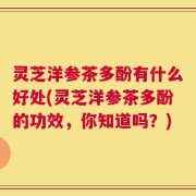 灵芝洋参茶多酚有什么好处(灵芝洋参茶多酚的功效，你知道吗？)