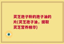 灵芝孢子粉的孢子油的片(灵芝孢子油，提取灵芝营养精华)