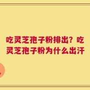 吃灵芝孢子粉排出？吃灵芝孢子粉为什么出汗