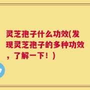 灵芝孢子什么功效(发现灵芝孢子的多种功效，了解一下！)