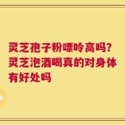 灵芝孢子粉嘌呤高吗？灵芝泡酒喝真的对身体有好处吗
