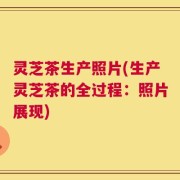 灵芝茶生产照片(生产灵芝茶的全过程：照片展现)